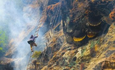Honey Hunting Trek